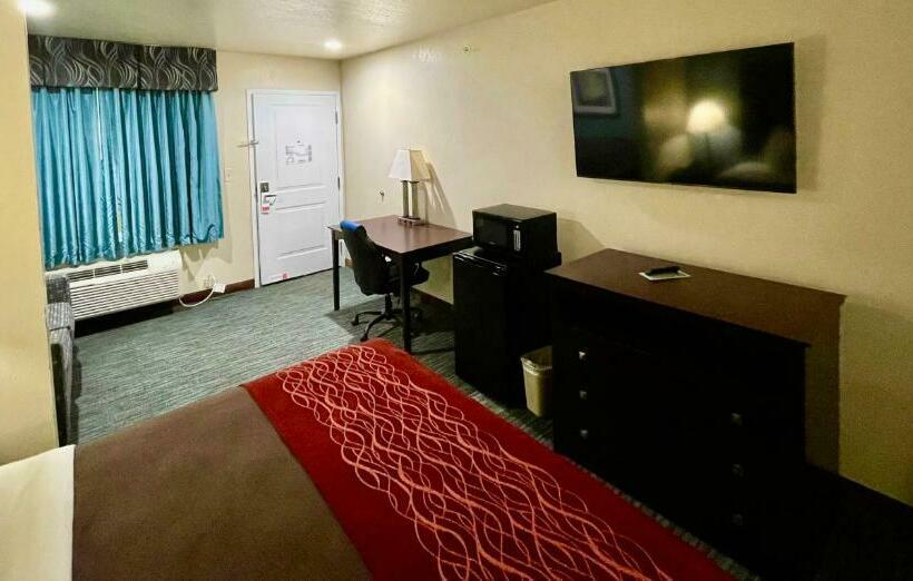 스탠다드 룸 킹사이즈 침대, Garden Inn And Suites Little Rock