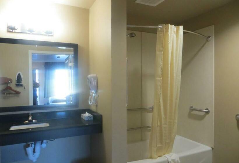 스탠다드 룸 킹사이즈 침대, Garden Inn And Suites Little Rock