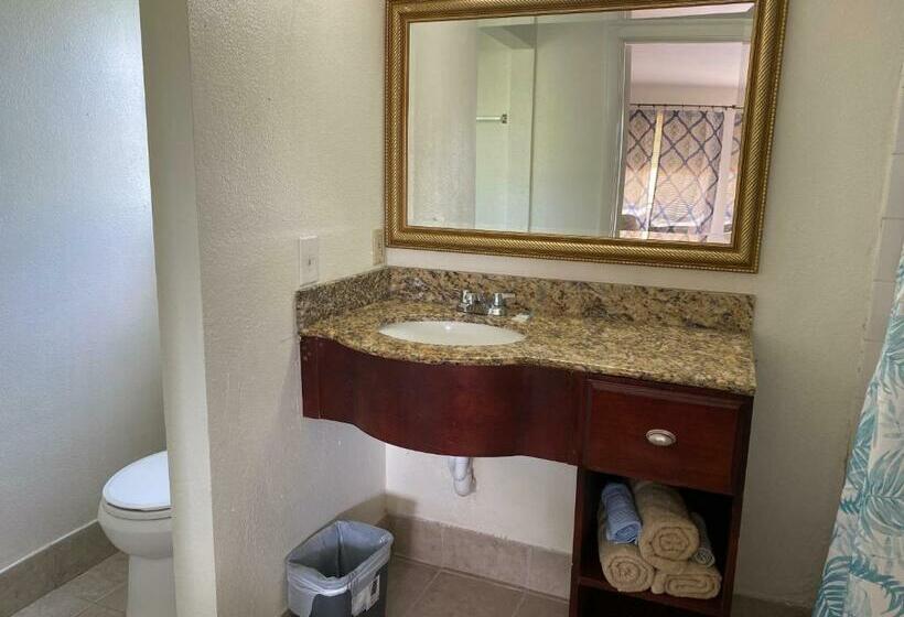 스탠다드 룸 킹사이즈 침대, Jasmine Garden Inn
