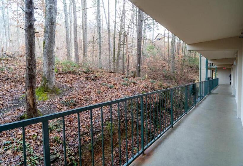 Lejlighed 1 Soveværelse m. Udsigt, Condo In Gatlinburg Very Peaceful   10 Min Walk To Main Strip