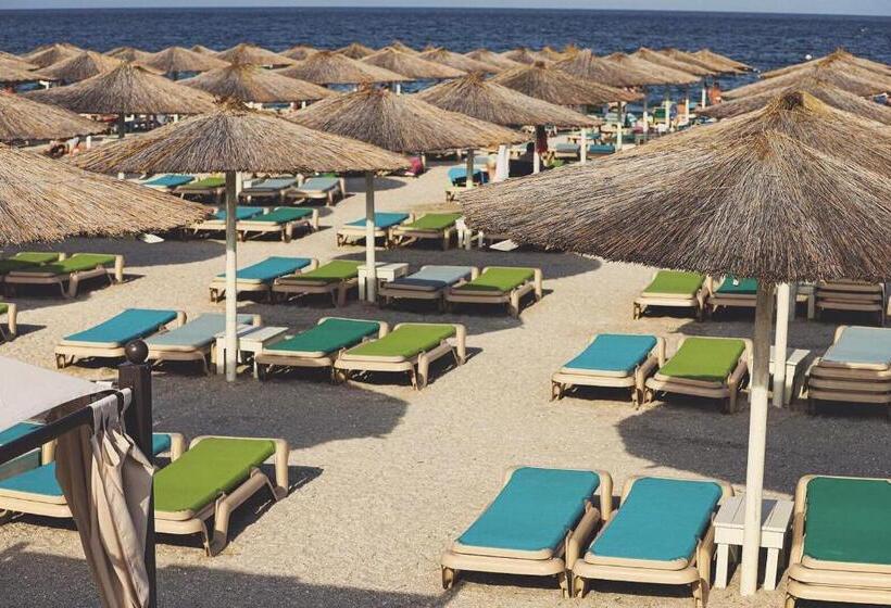 استودیوی استاندارد, Studio Seashell Casa Del Mar