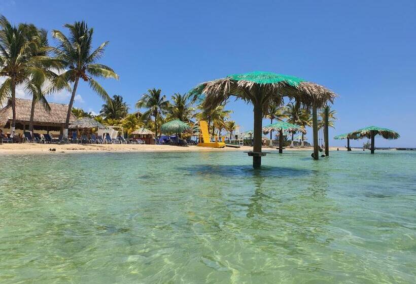 اتاق خانوادگی, Las Palmas Joliet
