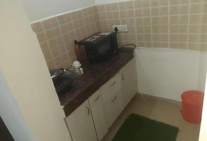 اتاق استاندارد با تخت بزرگ, Abp Studio S