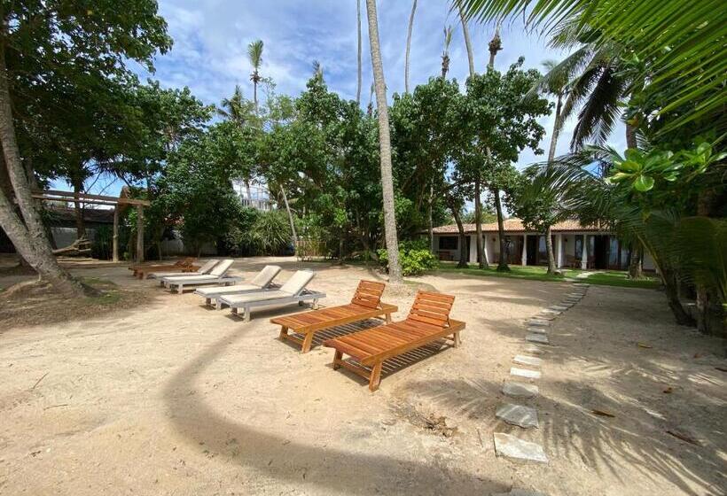 标准间内部标间, Sea Breeze Villa Ahangama
