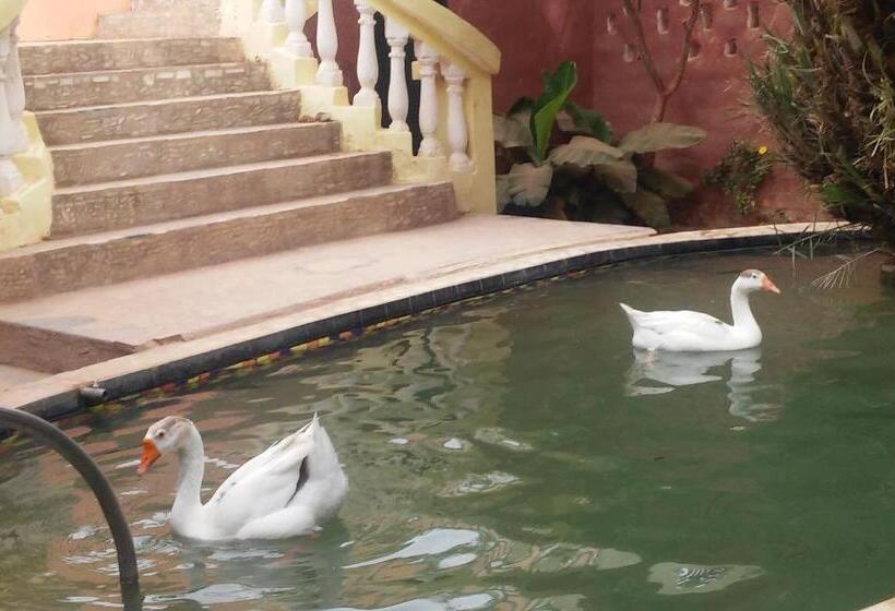 اتاق لوکس, 33 0asis Riad Resort