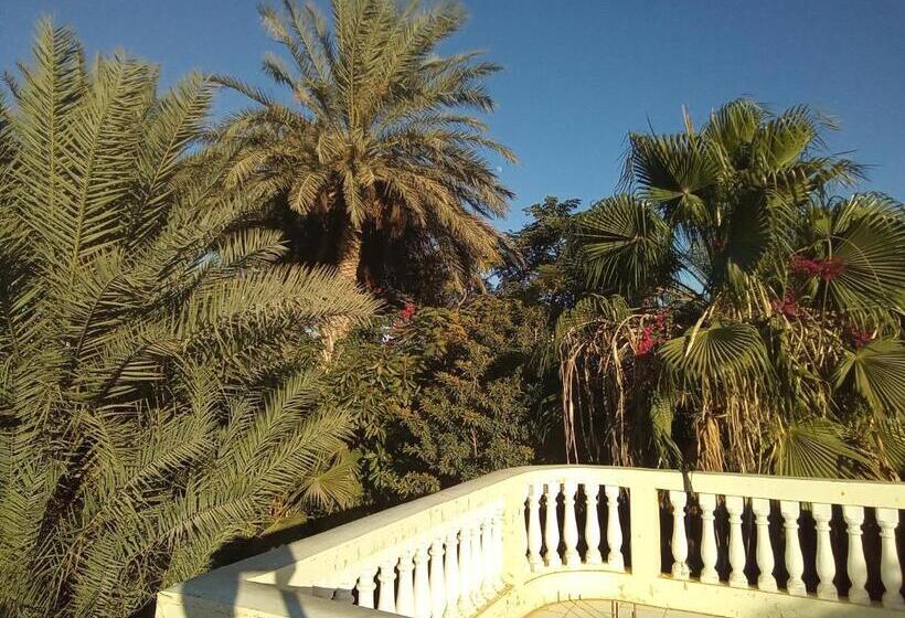 اتاق لوکس, 33 0asis Riad Resort