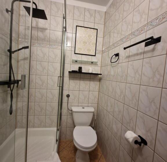 Номер Superior Одноместный, Cieszyński Stare Miasto Suites
