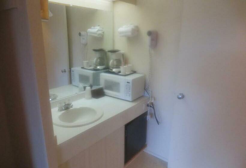 Номер Economy, Downtowner Inn
