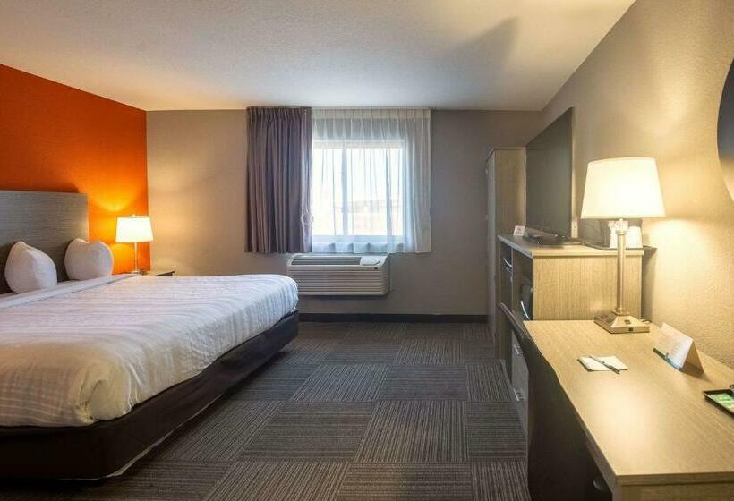 스탠다드 룸 킹사이즈 침대, Quality Inn & Suites Hammond Near I 8090
