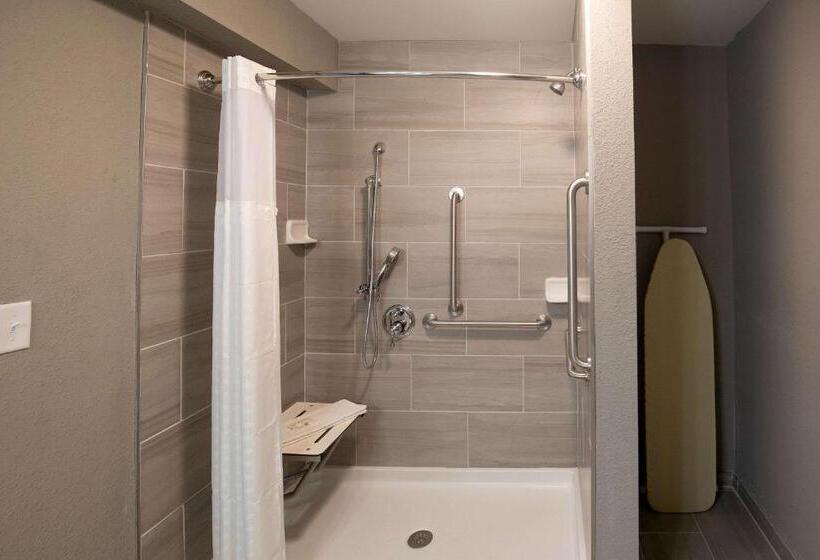 장애인을 위한 스위트, Quality Inn & Suites Hammond Near I 8090