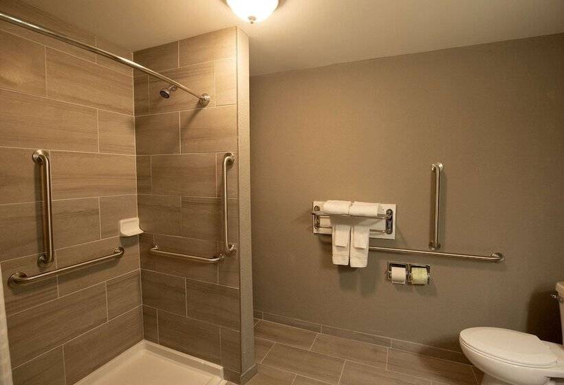 장애인을 위한 스위트, Quality Inn & Suites Hammond Near I 8090