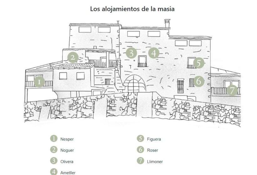 Номер Стандарт, Masia Aubareda