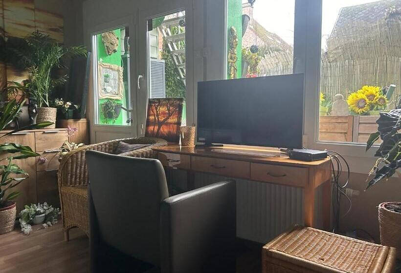 اتاق استاندارد, Jungle Magic Room Near Atomium , Heyzel Stadium