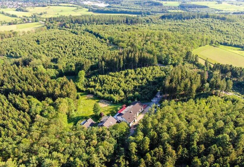 Номер Deluxe Одноместный, Landhaus Berghof