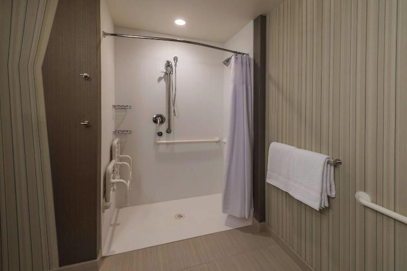 اتاق استاندارد با تخت بزرگ, Courtyard By Marriott Reno Downtown/riverfront