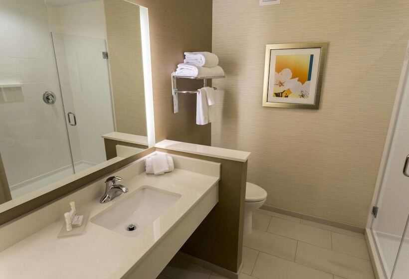 套房, Fairfield Inn & Suites By Marriott Geneva Finger Lakes