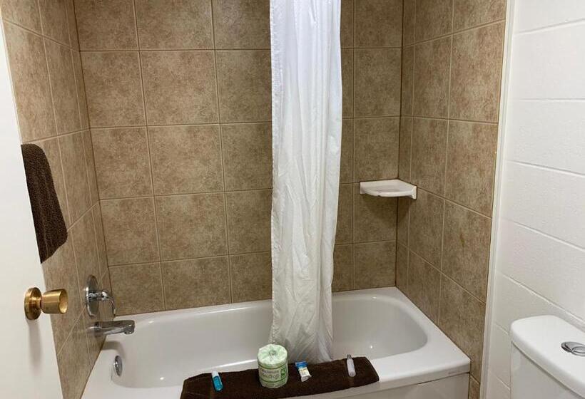 Номер Superior Одноместный, Westport Inn