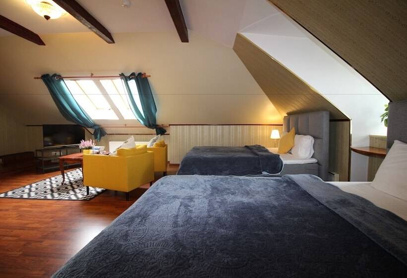 استودیوی استاندارد, Tallinn City Apartments Harju Residence