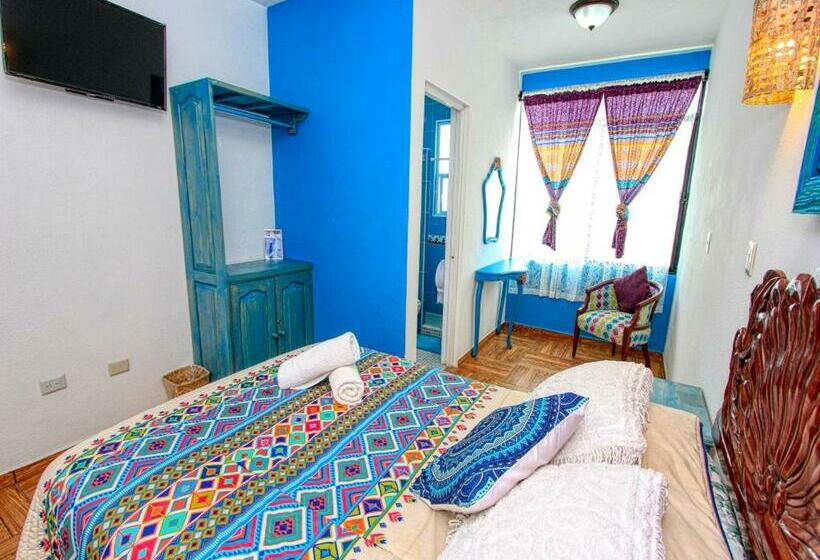 スタンダードルーム, Spa Maggic Home Panorámica