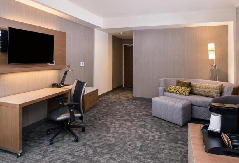 Люкс, Courtyard By Marriott Detroit Farmington