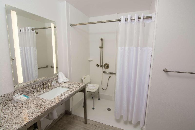 주니어 스위트 킹사이즈 침대, Hilton Garden Inn Tampa Suncoast Parkway