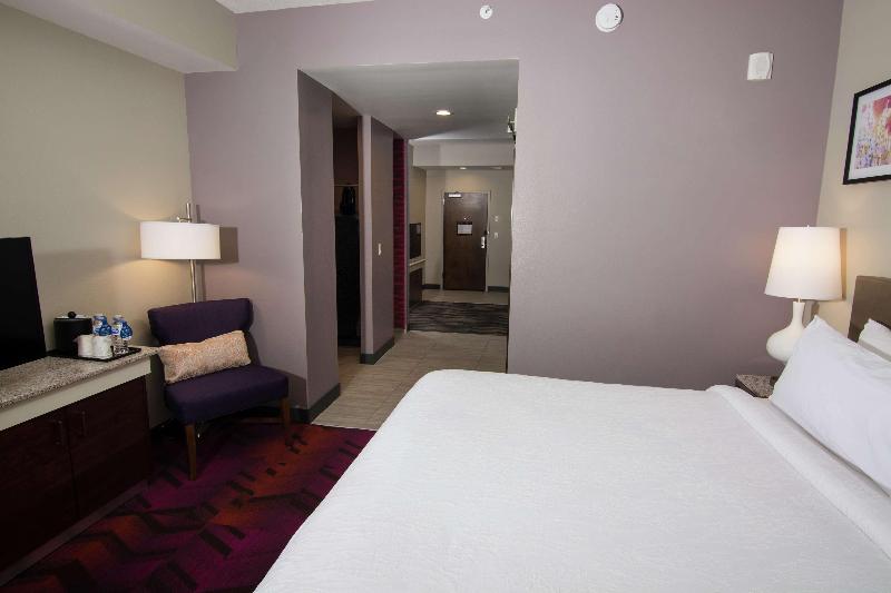 주니어 스위트 킹사이즈 침대, Hilton Garden Inn Tampa Suncoast Parkway