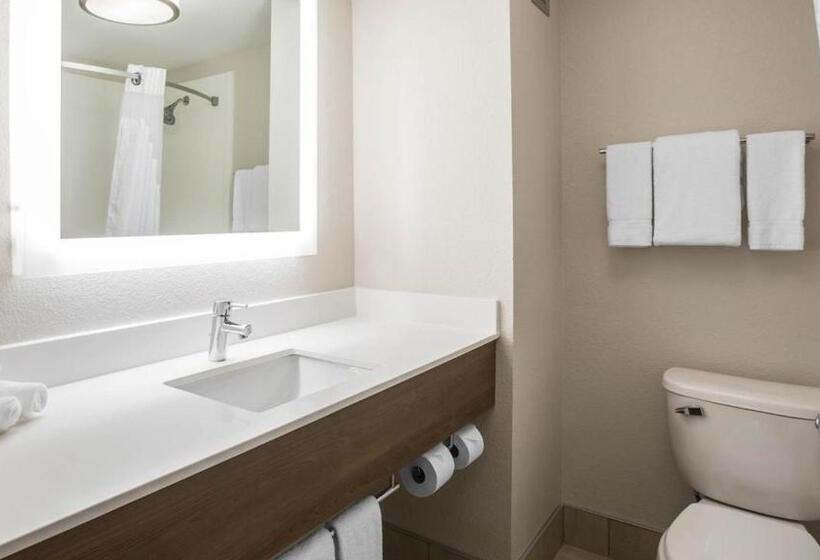 غرفة قياسية سرير كينج لذوى الإحتياجات الخاصة, Holiday Inn Express & Suites   Jacksonville W   I295 And I10, An Ihg