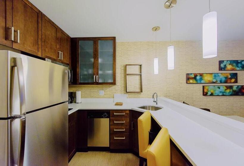 Студио Стандарт Кровать Кинг, Residence Inn By Marriott Philadelphia Glen Mills/concordville