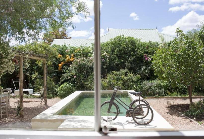 컴포트 룸, Prince Albert Country Stay