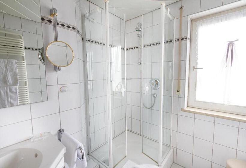 Номер Стандарт с Балконом, Garni Gerberhof S