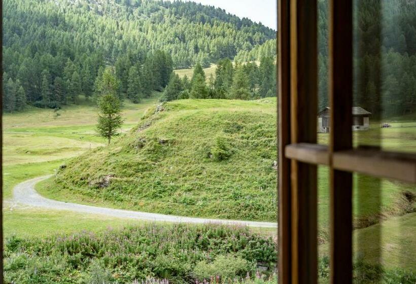 스탠다드 룸, Chesa Pool