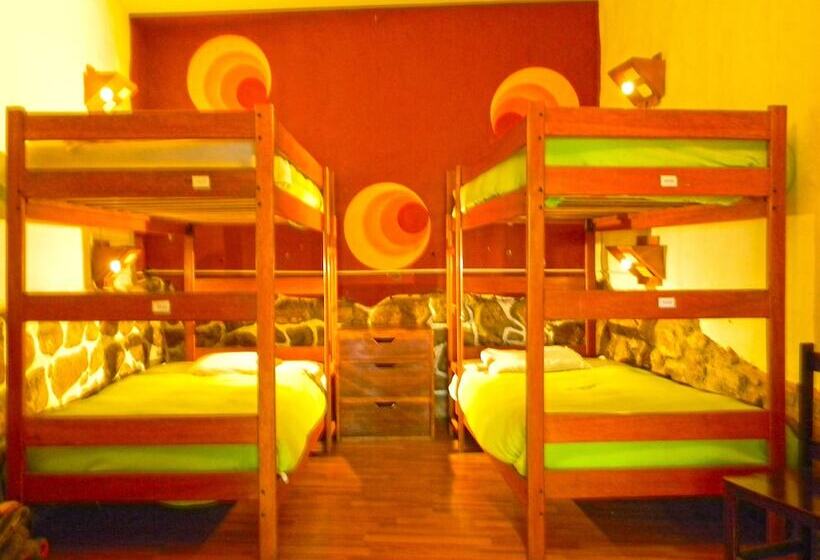 Cama em Quarto Compartilhado, Pirwa Backpackers Colonial