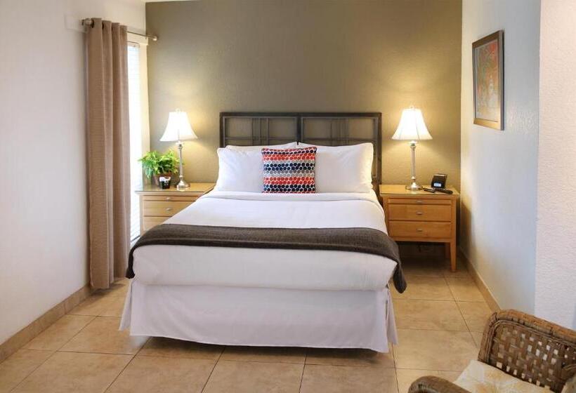 スタンダードルーム, The Cabanas Guesthouse & Spa   Gay Resort Catering To Gay Men
