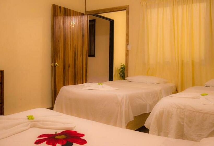 اتاق استاندارد چهار تخته, Monte Los Lirios Lodge