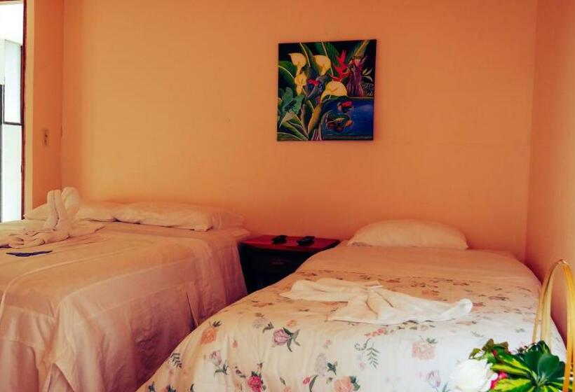 اتاق استاندارد با چشم‌انداز باغ, Monte Los Lirios Lodge