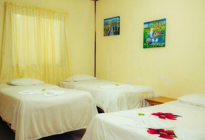 اتاق استاندارد چهار تخته, Monte Los Lirios Lodge