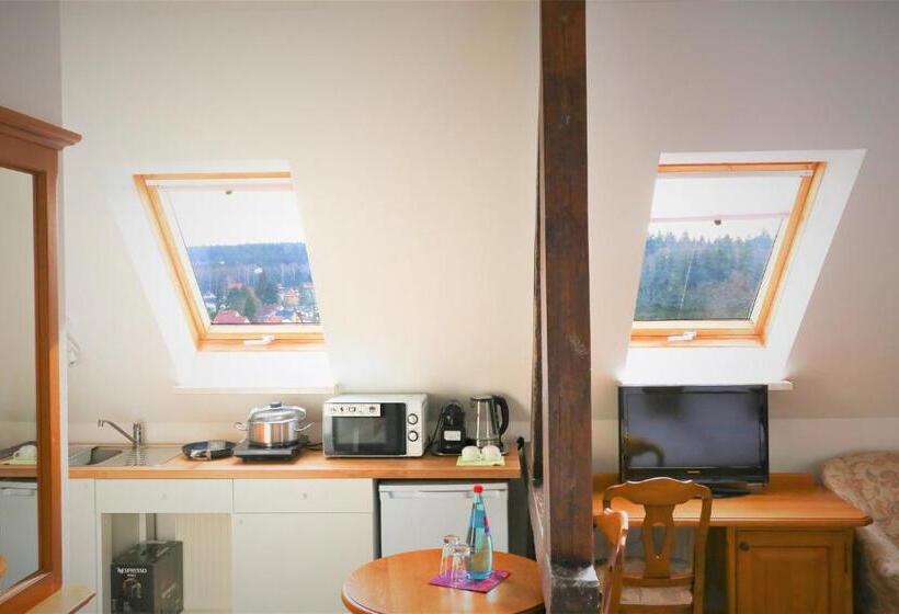 带1个卧室的公寓, Parkhotel Forsthaus