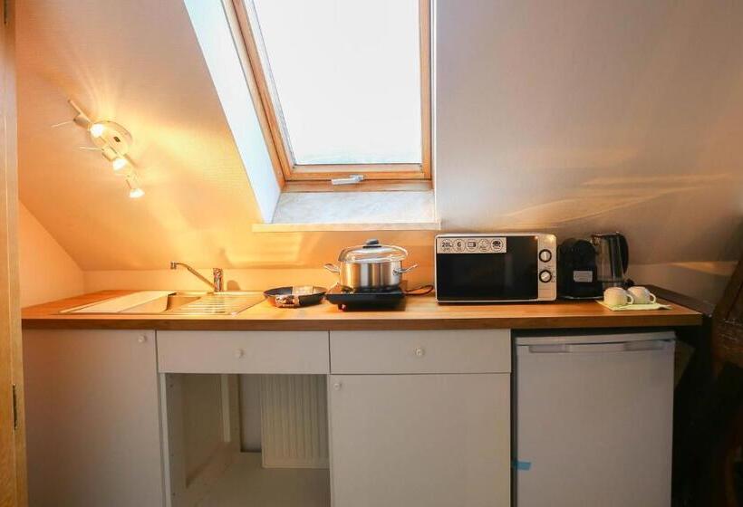 Apartamento 1 Dormitório, Parkhotel Forsthaus