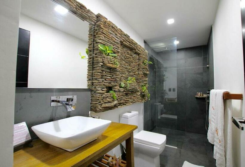 اتاق لوکس, Boutique Casa Carolina