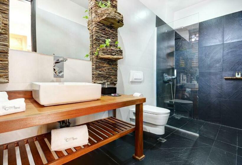 اتاق لوکس, Boutique Casa Carolina