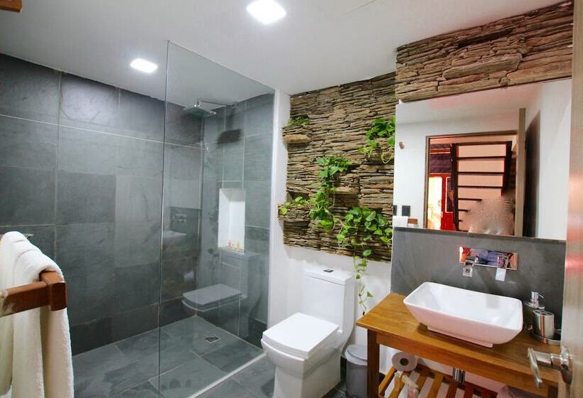 اتاق استاندارد, Boutique Casa Carolina