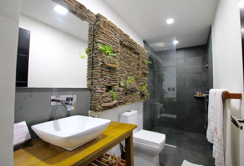 اتاق لوکس, Boutique Casa Carolina