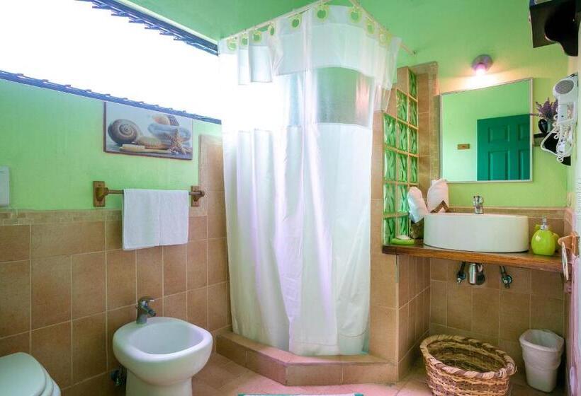 Номер Стандарт, Boutique La Casa De Las Flores