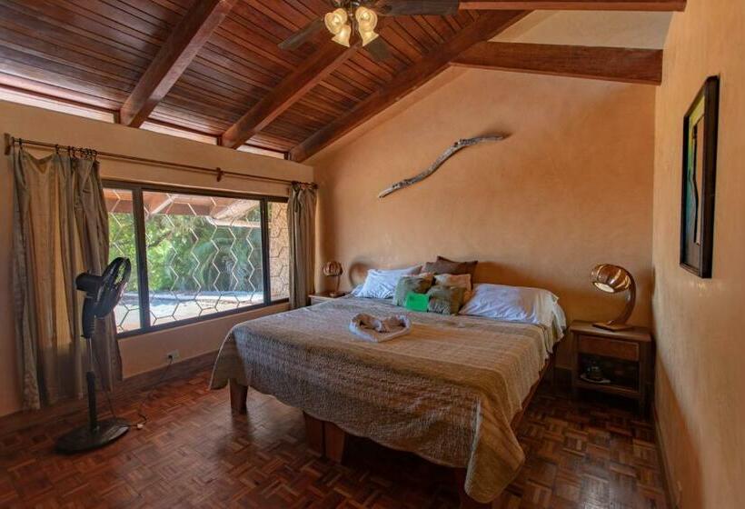Номер Стандарт, Villa Mango B&b