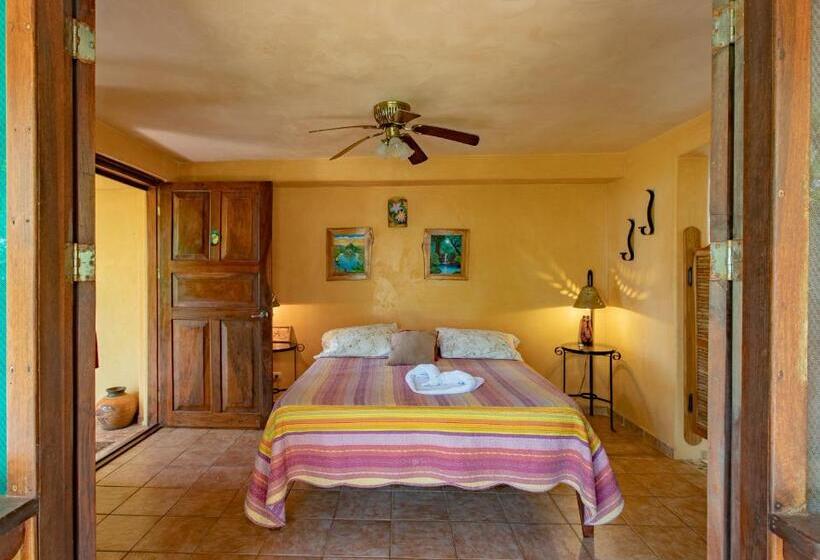 Номер Стандартный с Видом, Villa Mango B&b