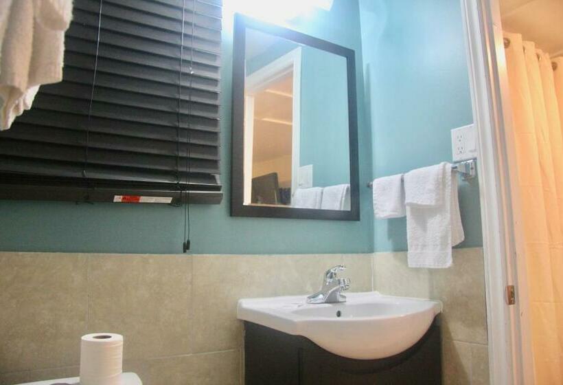 标准间, American Plaza Motel