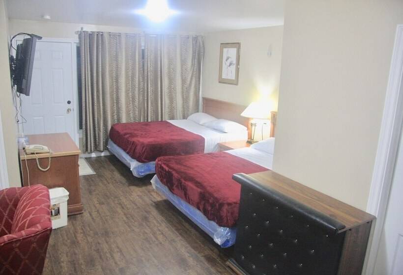 带2个双人床的标准工作室, American Plaza Motel