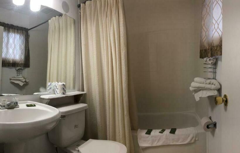 Номер Стандарт 2 Двуспальные Кровати, Guest Inn Motel