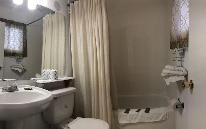 Номер Стандарт 2 Двуспальные Кровати, Guest Inn Motel