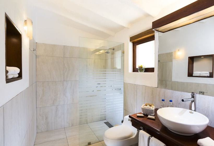 스탠다드 룸, Colca Lodge Spa & Hot Springs